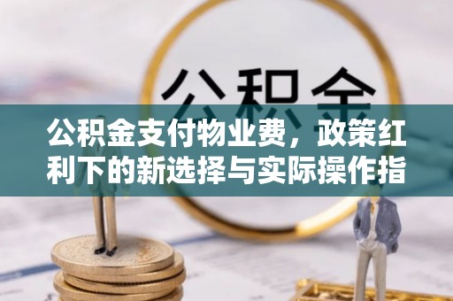 闸北公积金支付物业费，政策红利下的新选择与实际操作指南