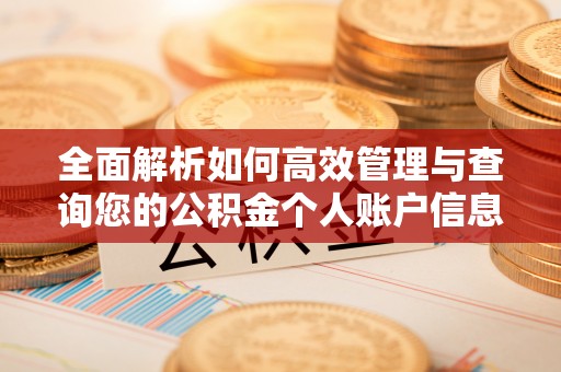 闸北全面解析如何高效管理与查询您的公积金个人账户信息