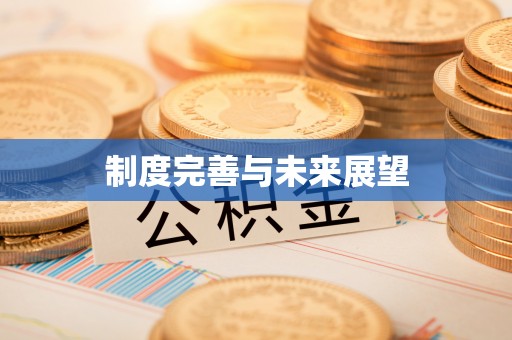 闸北制度完善与未来展望