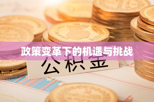 闸北政策变革下的机遇与挑战