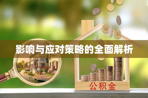 闸北影响与应对策略的全面解析