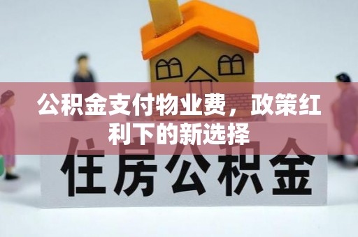 闸北公积金支付物业费，政策红利下的新选择